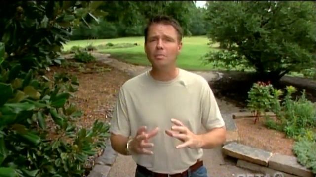 Southern Magnolia смотреть онлайн