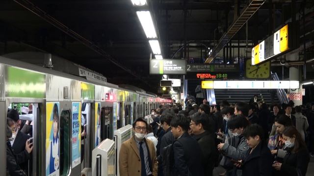 my Japan in 4K SAKURA 2019 смотреть онлайн