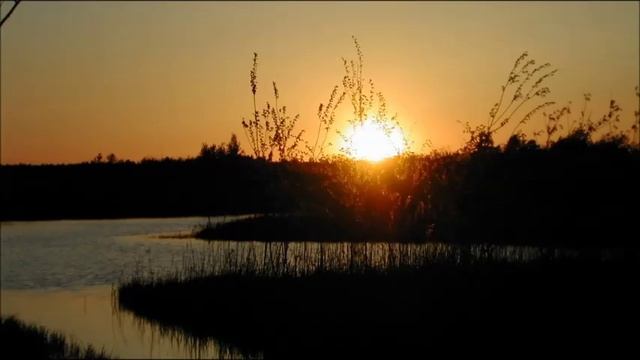 Иеромонах Роман. «Горит свеча. Псалтырь на аналое...» смотреть онлайн