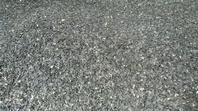 ціна на зерно на 9.03.2021 смотреть онлайн