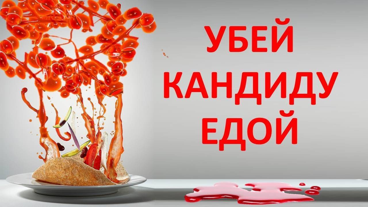 Противогрибковая анти-кандидная диета смотреть онлайн