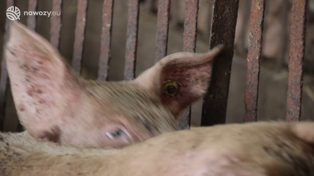 #93 agro wiadomości nonstop - 2020.07.27 смотреть онлайн