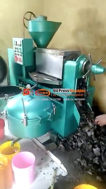 Tanzania Sunflower Oil Press Machine | Guangxin YZYLXQ130 Combined Oil Mill #oilextractionmachine смотреть онлайн