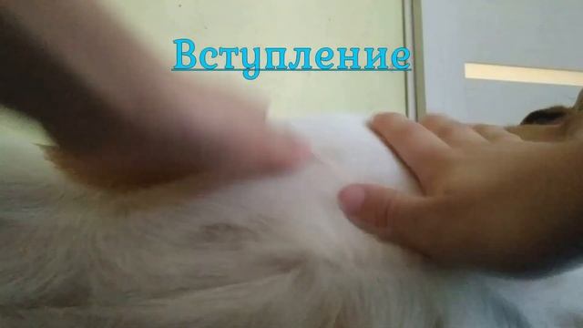 Джесси и наряды 2 часть смотреть онлайн