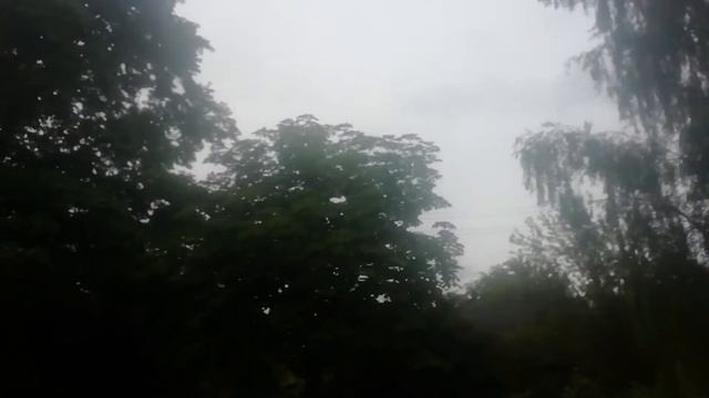 Холодное Лето 2022 Беларусь.Аист в Огороде,Дуб гудит. короче говоря за неимением контента О Погоде! смотреть онлайн