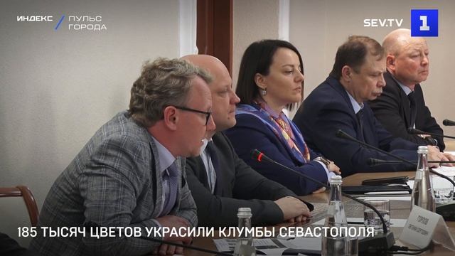 185 тысяч цветов украсили клумбы Севастополя смотреть онлайн