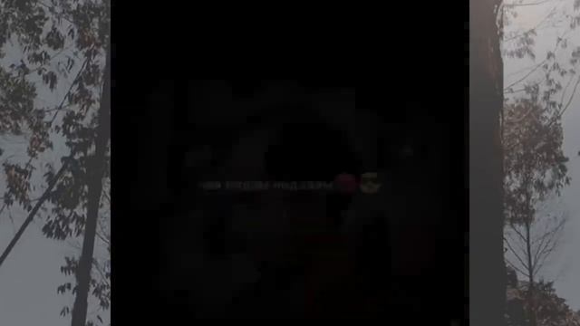 тик ток андрей [мемная цыпа] смотреть онлайн