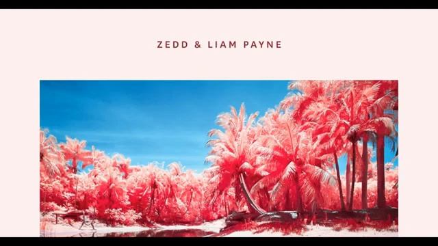 Zedd, Liam Payne - Get Low (Official Audio)