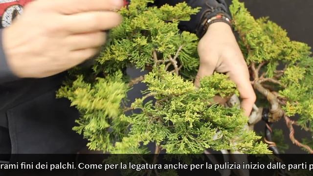 How to style a Juniper смотреть онлайн