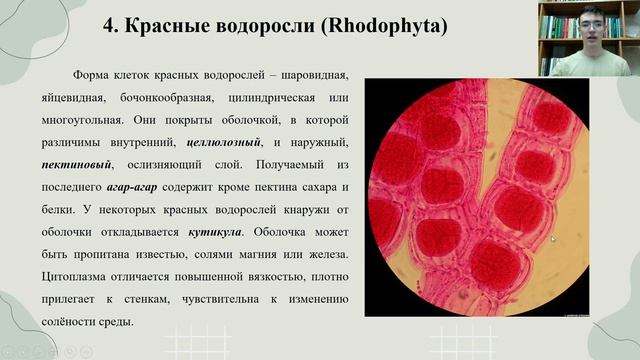 Интеллектуал Биология. Олимпиадный резерв( 9-11 класс) Тема 4 смотреть онлайн