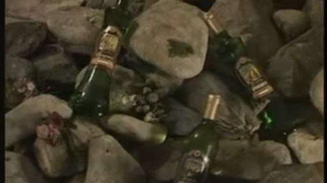 Винний підвал в с. Бобовище, Мукачівський район, Закарпатської області смотреть онлайн