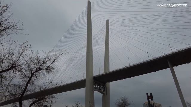 Владивосток Цирк-набережная Цесаревича 5 ноября 2023. смотреть онлайн