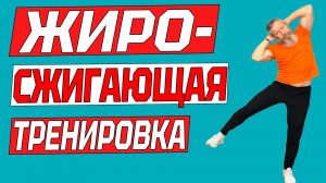 Жиросжигающая тренировка. Упражнения стоя для похудения в животе