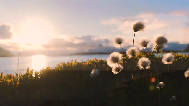 звук 4 ое задание смотреть онлайн