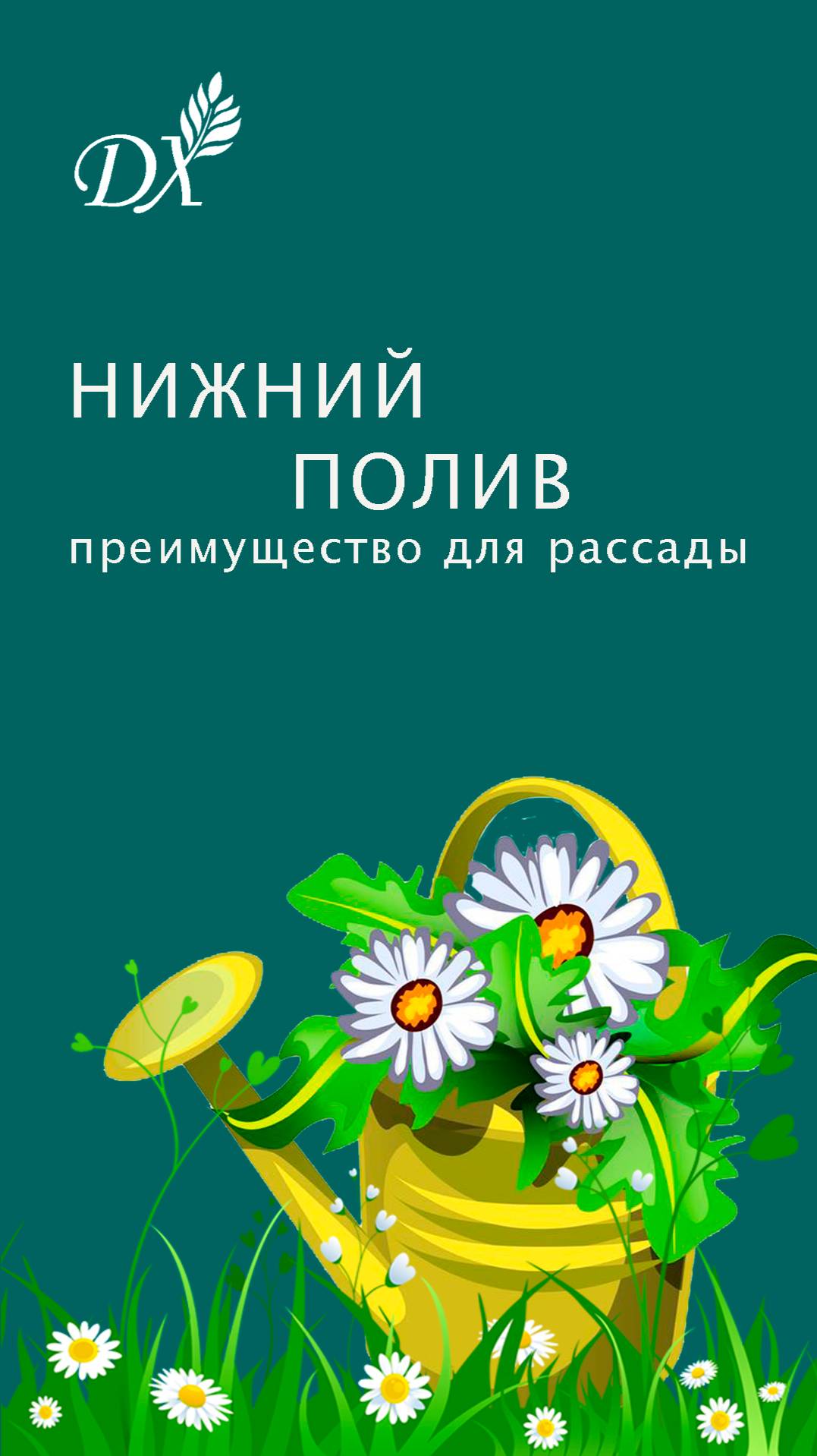 Нижний полив - преимущество для рассады