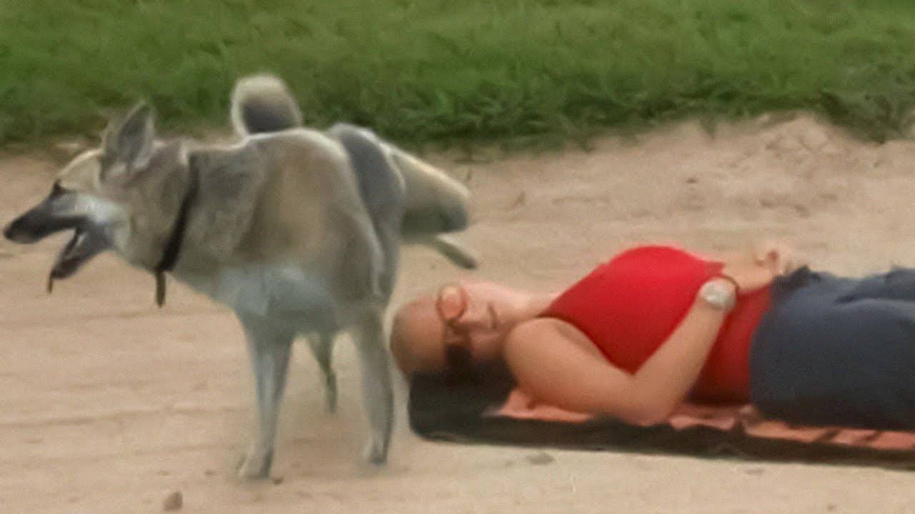 You Laugh You Restart #1 🚨 IMPOSSIBLE MEMES (2025) (memes from hole) смотреть онлайн