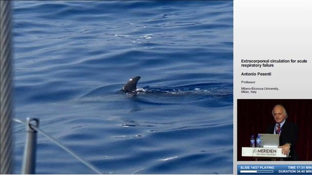 Extracorporal support for ARF Pesenti A (2006 Shanghai)