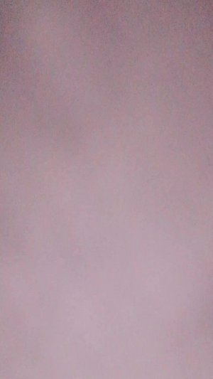 вот Танцуй девочки