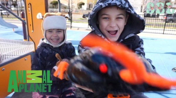 ГИГАНТСКАЯ Радиоуправляемая Сколопендра от Animal Planet RC Centipede