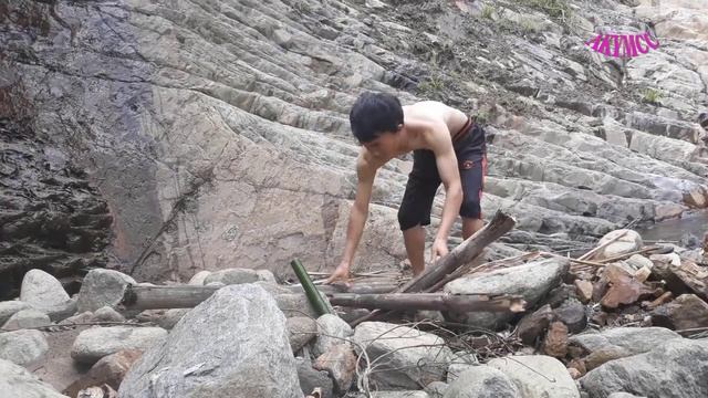 A KY MCC - Jungle life eating Dioscorea cirrhosa смотреть онлайн