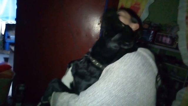 Я ДОЖДАЛАСЬ!!! ЛЮБВИ!!!!!!! смотреть онлайн