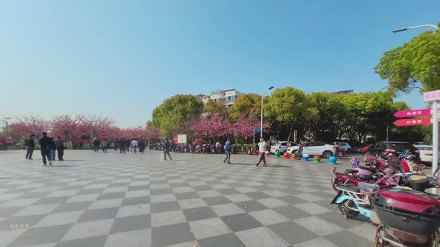 Китай - Шанхай смотреть онлайн