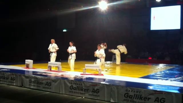 ПОКАЗАТЕЛЬНЫЕ ВЫСТУПЛЕНИЯ ЧЕ-2013 ЛЮЦЕРН, ШВЕЙЦАРИЯ смотреть онлайн