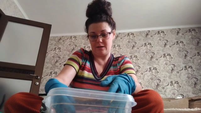 Рассадный сезон открыт - творим и наслаждаемся жизнью | Практика осознанности