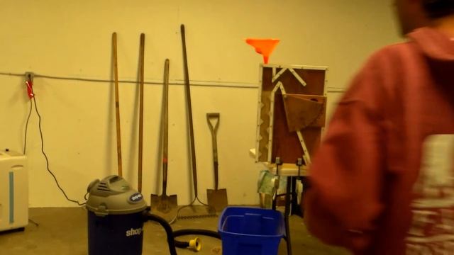 cleaning golden flax with a DIY air column смотреть онлайн