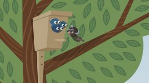 Мультфильм Мактанчык чыпчык на татарском языке