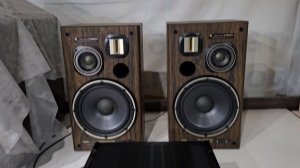 Pioneer S-1800DV