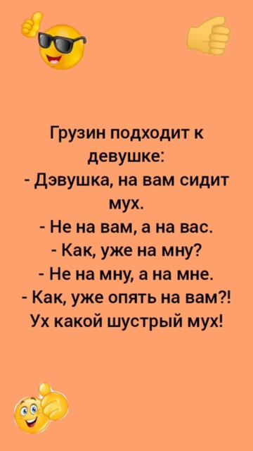 @ какой шустрый мух😄😄😄😄 #смех #анекдоты #анекдот #юмор смотреть онлайн