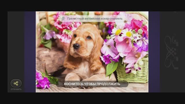 Чудо Пазлы|Mobile Games смотреть онлайн