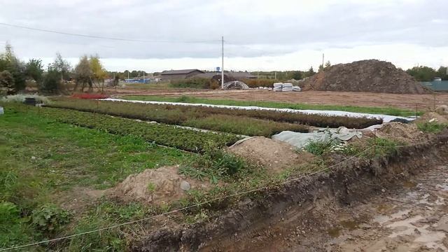 Вита Парк Плюс. смотреть онлайн