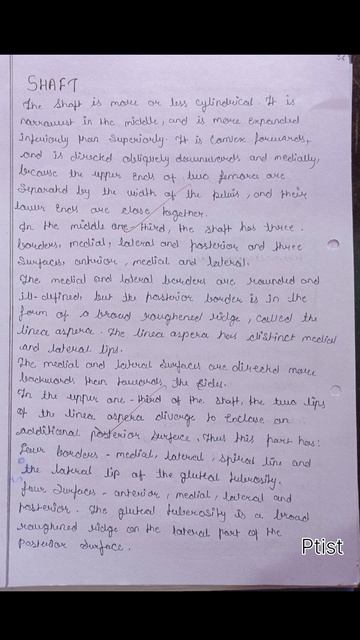 Femur and Patella Complete Notes #shortvideo #anatomy смотреть онлайн
