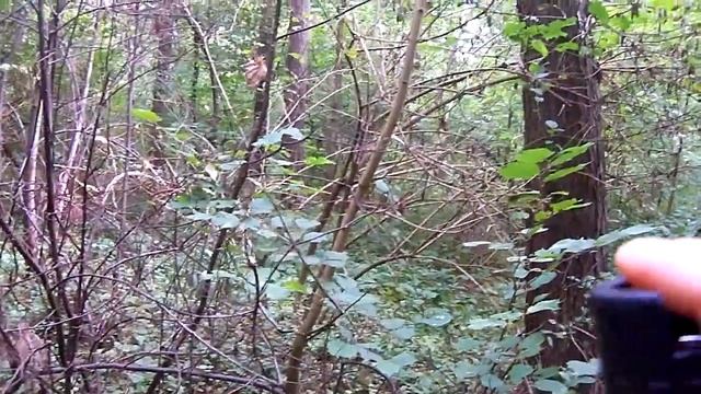 gaz bodygłard prosecure смотреть онлайн