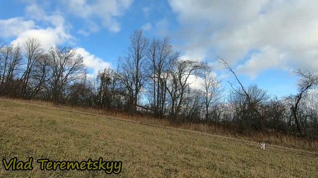 Красивая охота на фазана и куропатку в Канаде смотреть онлайн