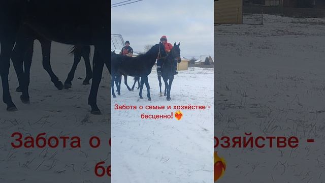 в деревне. провожаю мужа на работу смотреть онлайн