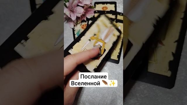 Письмо Высших сил для Вас ✨ таро расклад смотреть онлайн