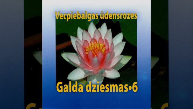 Kā pa miglu смотреть онлайн