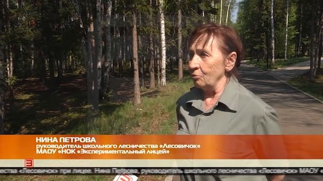 Омолодить городские леса 30.05.2022 смотреть онлайн