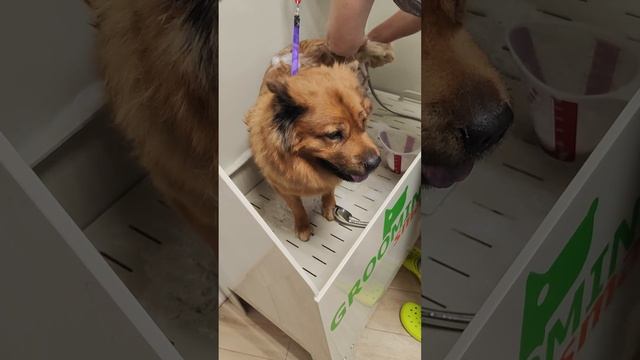 в салоне красоты красотка хитропопая смотреть онлайн