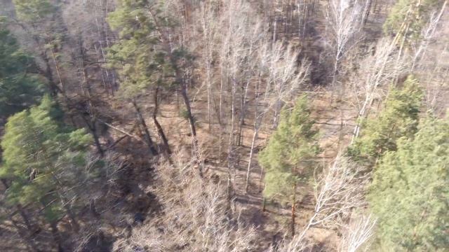 ПУЩА-ВОДИЦА: ГОРОДИЩЕ и РУЧЕЙ СИНЯКИ [4K] (01.04.2021) смотреть онлайн