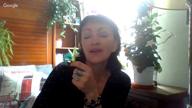 взгляд на ЖИЗНЬ как вариант