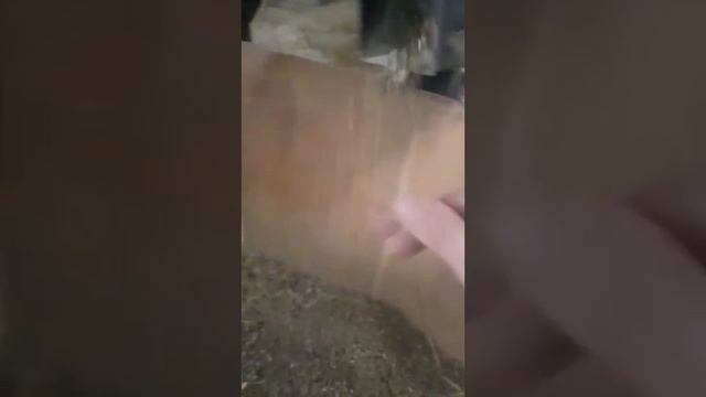 Отзыв о грануляторе Соловей. Гранулирую сено, кукурузу, пшеницу. смотреть онлайн