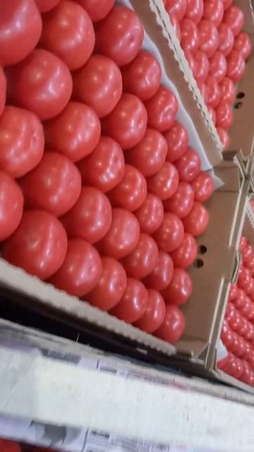 6 ноября 2021 г.Сегодня рынок, цена на Томат 🍅🍅🌶🌽🥕🫑🥦 Друг подержи канал лайками 🛎👍🏻🙏 смотреть онлайн