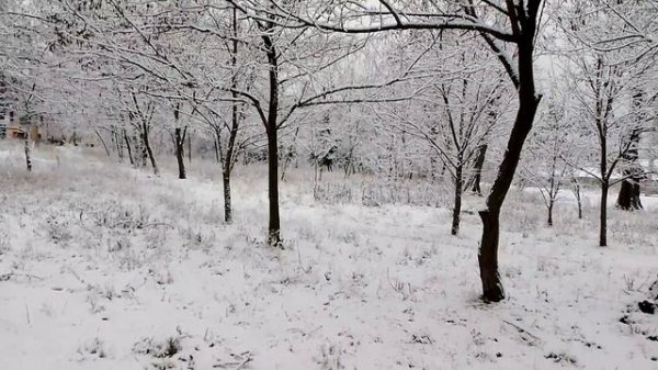 Трофим.Я скучаю по тебе
dzen.ru/id/623207cb356a7c75fae812f0?donate=true