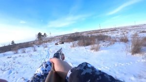 Охота на зайца в мороз -21. Сезон 2024-2025 №217.