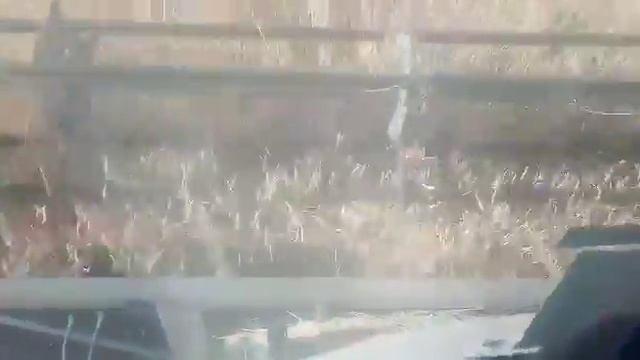 Уборка ржи! смотреть онлайн