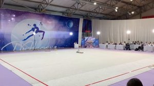 художественная гимнастика